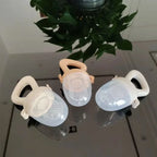 Silicone Fruit Feeder with Cover